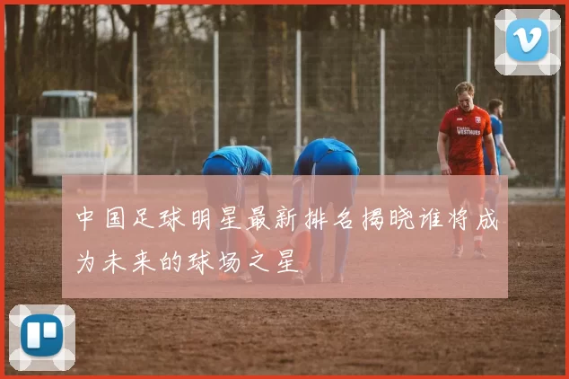 中国足球明星最新排名揭晓谁将成为未来的球场之星