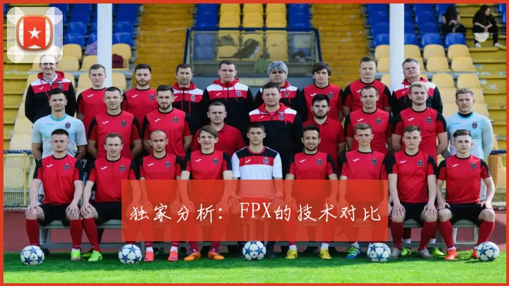 独家分析：FPX的技术对比