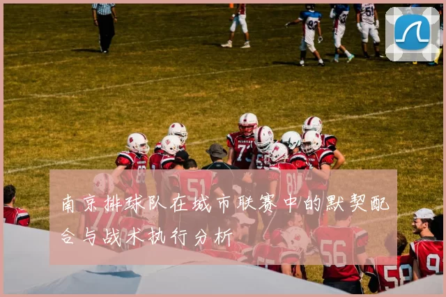 南京排球队在城市联赛中的默契配合与战术执行分析